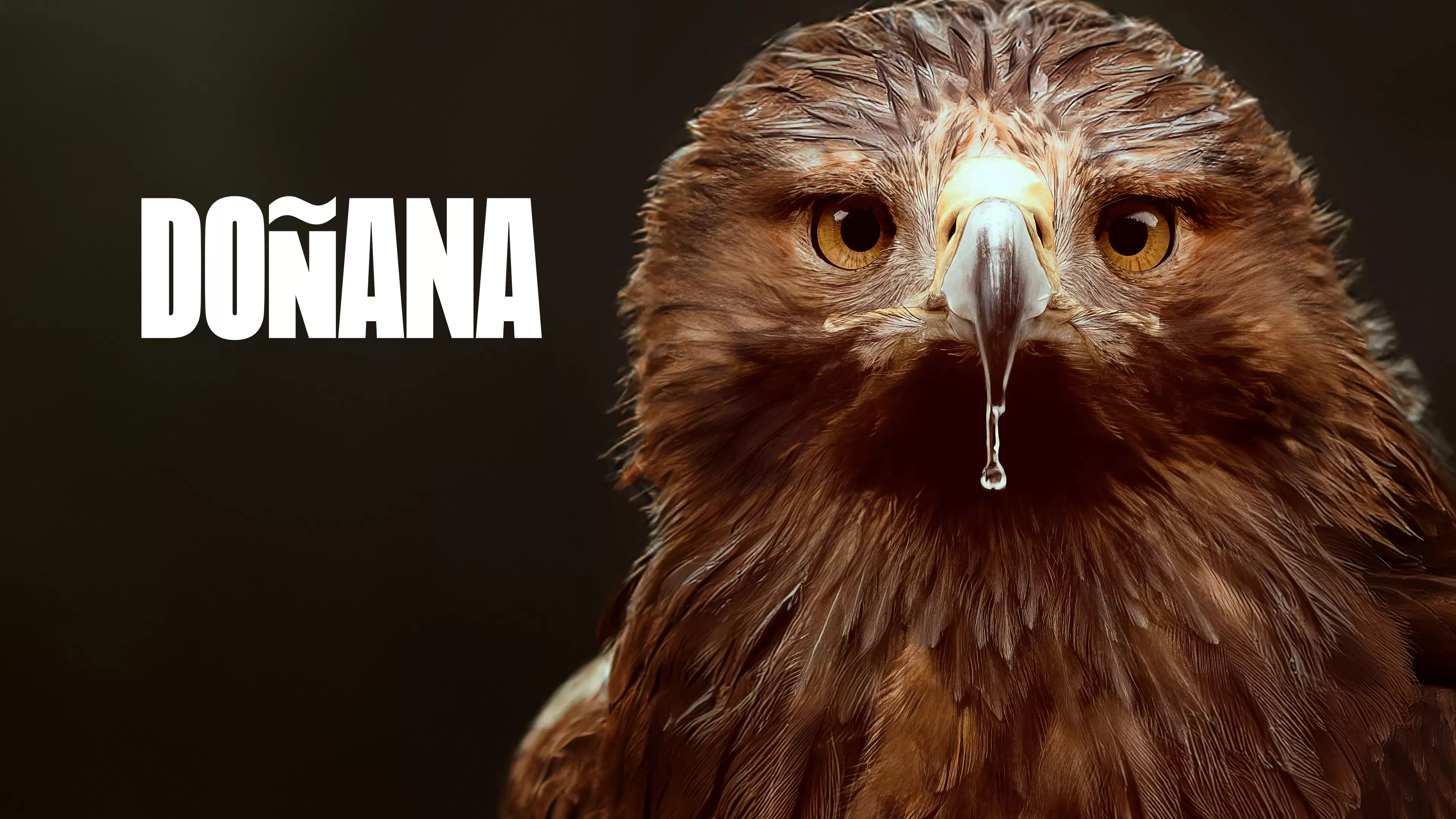 'Doñana', en Movistar Plus+