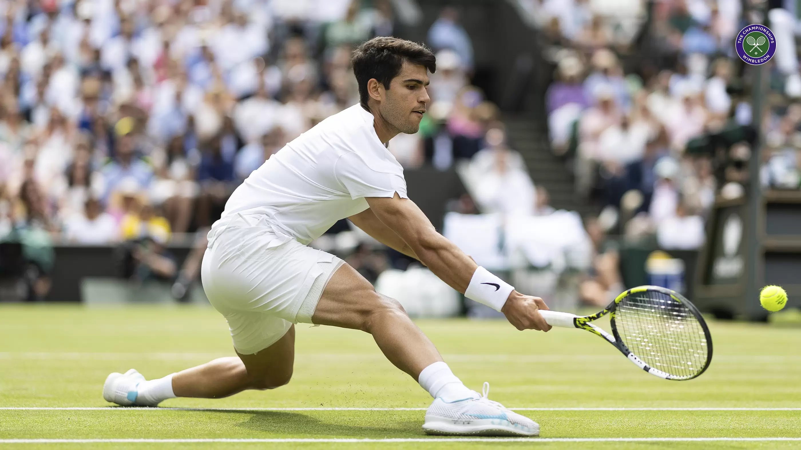 Tenis · Lo mejor de cada torneo en Movistar Plus+