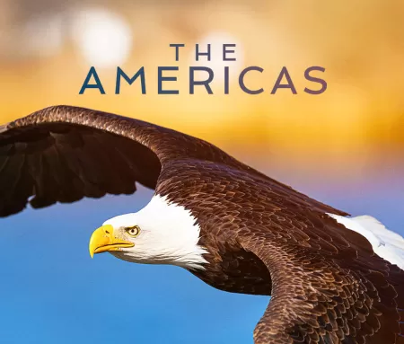 The Americas, en Movistar Plus+