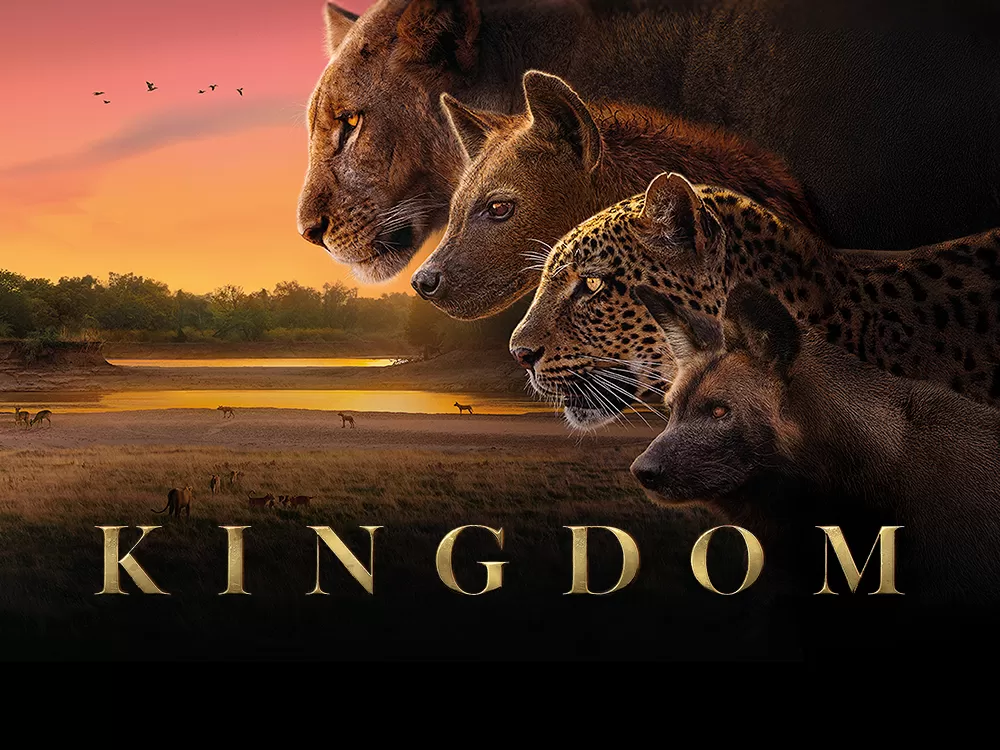 'Kingdom', en Movistar Plus+