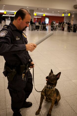 JFK: Control de aduanas