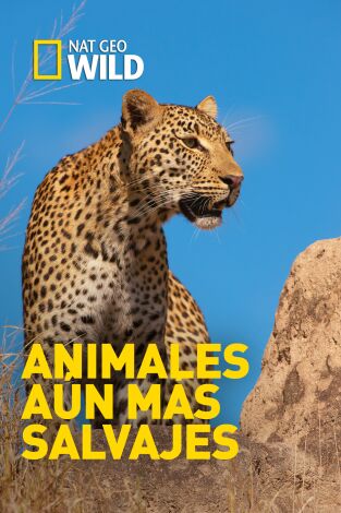 Animales aún más salvajes. Animales aún más salvajes: Negocios Arriesgados