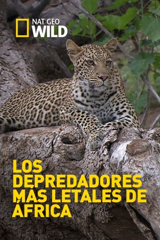 Los depredadores más letales de África. Los depredadores más letales de África 