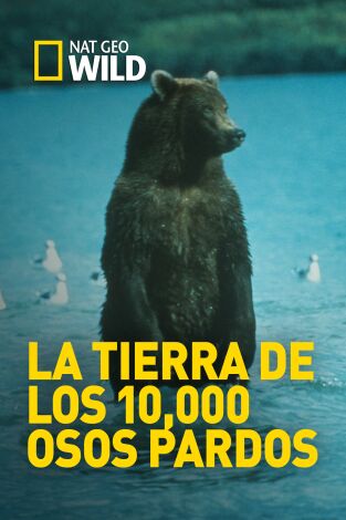 La tierra de los 10,000 osos pardos