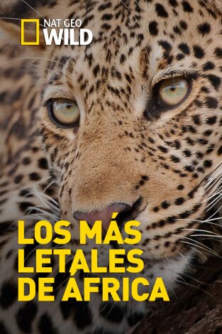 Los depredadores más letales de África. Los depredadores más...: Cazadores al acecho