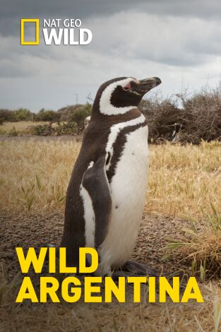 Wild Argentina