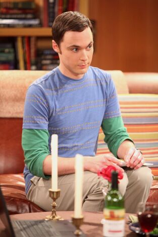 The Big Bang Theory. T(T5). The Big Bang Theory (T5): Ep.2 La teoría de la plaga
