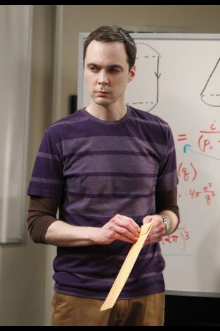 The Big Bang Theory. T(T6). The Big Bang Theory (T6): Ep.14 La inversión Cooper-Kripke