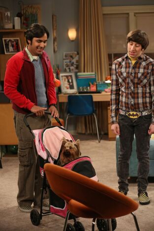 The Big Bang Theory. T(T6). The Big Bang Theory (T6): Ep.22 La resurgencia del protón