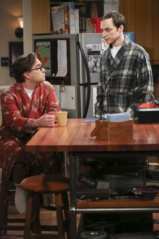 The Big Bang Theory, Season 7. T(T7). The Big Bang... (T7): Ep.12 La ramificación de la indecisión