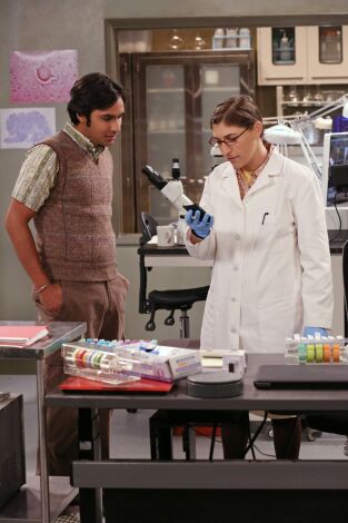 The Big Bang Theory, Season 7. T(T7). The Big Bang... (T7): Ep.17 La turbulencia de la amistad