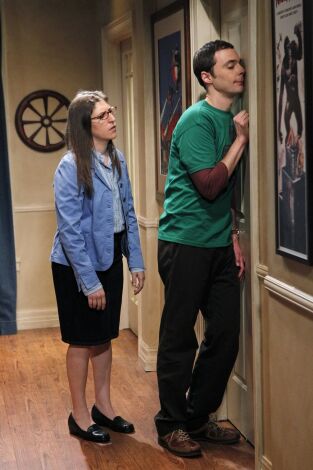 The Big Bang Theory, Season 7. T(T7). The Big Bang... (T7): Ep.20 La disjunción de la relación