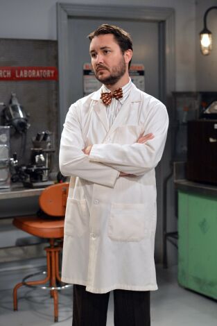 The Big Bang Theory, Season 7. T(T7). The Big Bang... (T7): Ep.23 La disolución del gorila