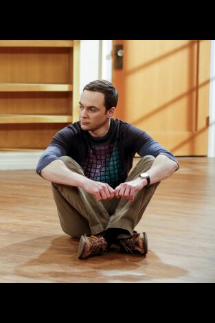 The Big Bang Theory. T(T10). The Big Bang Theory (T10): Ep.23 El hundimiento giroscópico