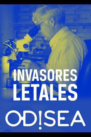 Invasores letales. Invasores letales: La procesionaria del pino