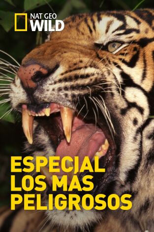 Especial los más peligrosos. Especial los más...: A sangre fría