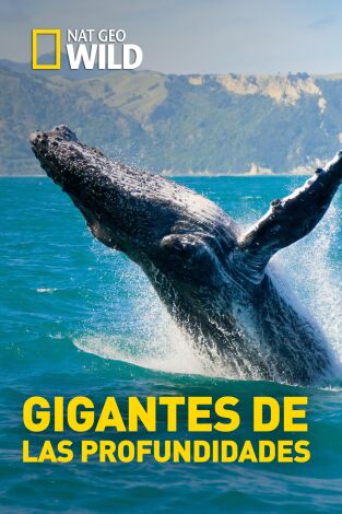 Gigantes de las profundidades