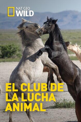 El club de la lucha animal. El club de la lucha...: Potencia de fuego