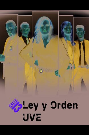 Ley y orden: unidad de Víctimas Especiales. T(T20). Ley y orden:... (T20): Ep.9 Mea Culpa