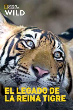 El legado de la reina tigre