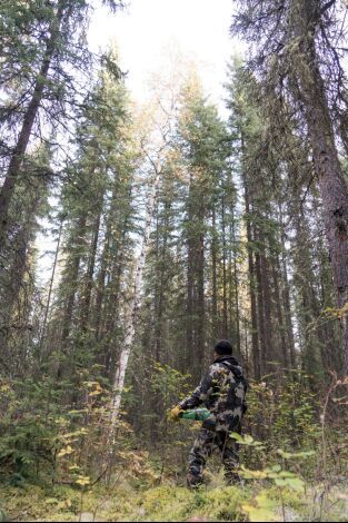 Where The Roads End: Pedro Ampuero. T(T1). Where The Roads... (T1): Yukon: pareja de Reyes