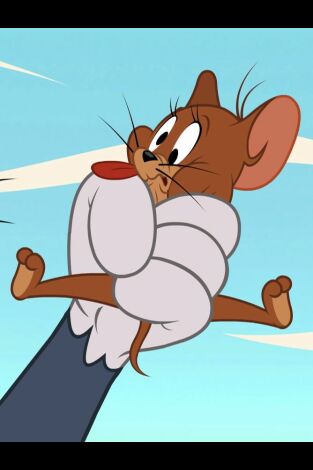 El show de Tom y Jerry. T(T3). El show de Tom y... (T3): Hogar Gatuno