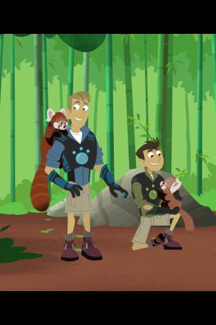 Los hermanos Kratt. T(T4). Los hermanos Kratt (T4): Al rescate de la panda roja