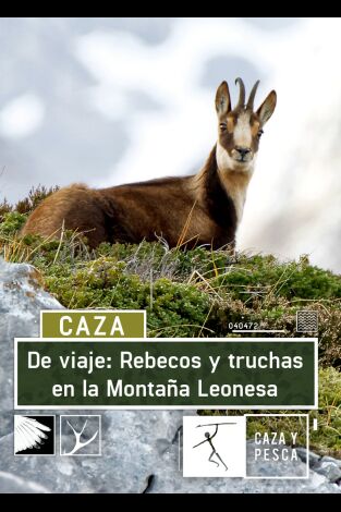 De viaje: rebecos y truchas en la montaña leonesa