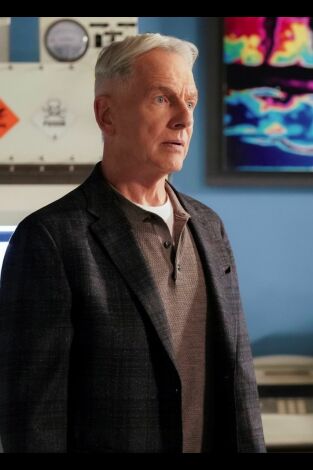 Navy: Investigación criminal. T(T17). Navy:... (T17): Ep.9 IRL La vida real