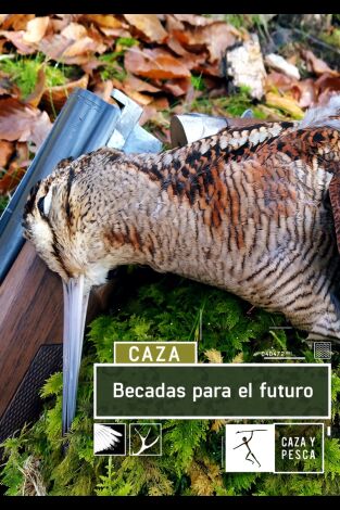 Becadas para el futuro