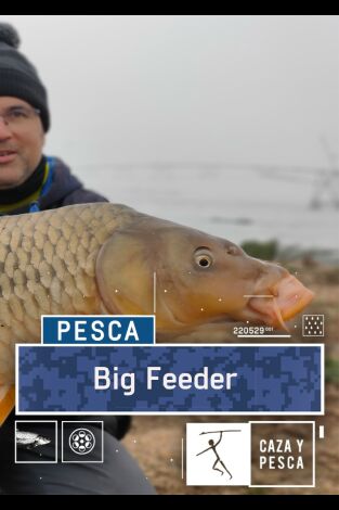 Big Feeder