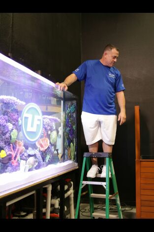 Acuarios XXL. Acuarios XXL: Todos en el océano