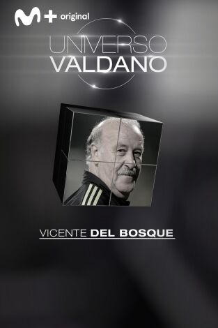 Universo Valdano. T(3). Universo Valdano (3): Vicente del Bosque