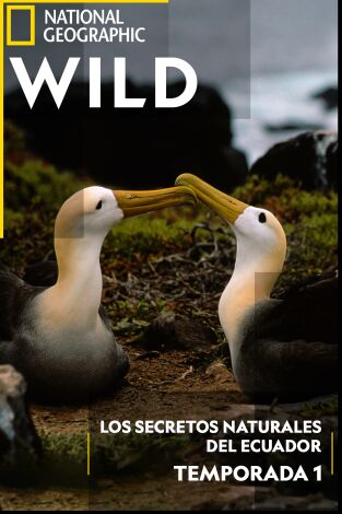 Los secretos naturales del ecuador
