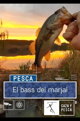 El bass del marjal