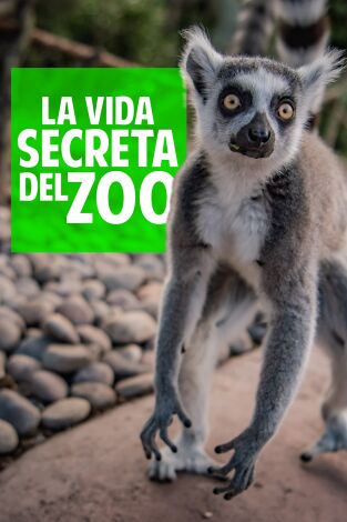 La vida secreta del Zoo