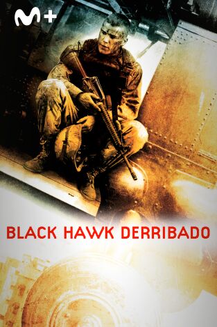 Black Hawk derribado