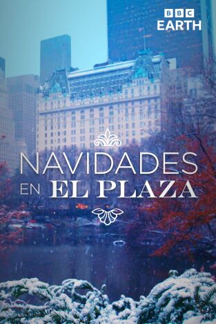 Navidades en el Plaza