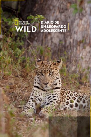 Diario de un leopardo adolescente