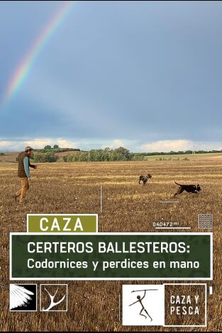 Certeros Ballesteros: Codornices y perdices en mano