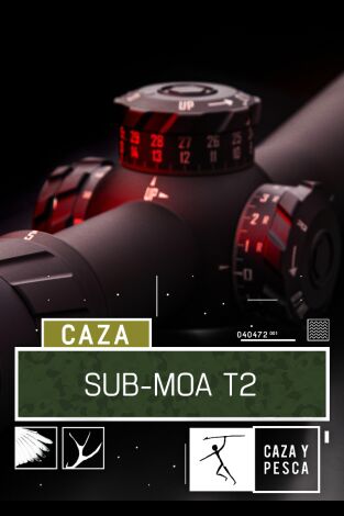 Sub Moa. T(T2). Sub Moa (T2): Balística interna y externa