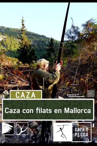 Caza con filats en Mallorca