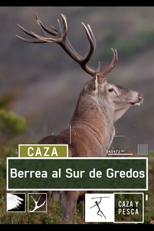 Berrea al sur de Gredos