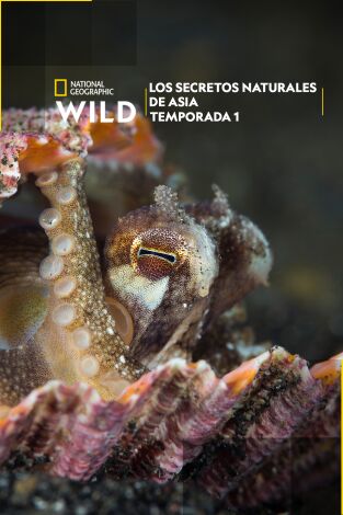 Los secretos naturales de Asia