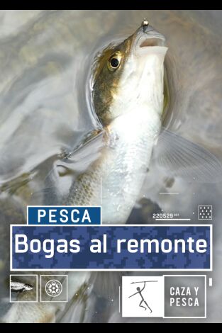 Bogas al remonte