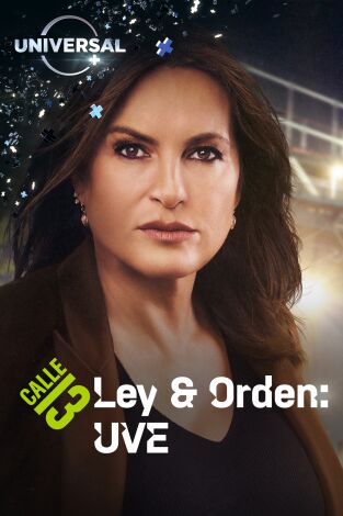 Ley y orden: unidad de víctimas especiales. T(T22). Ley y orden: unidad de víctimas especiales (T22)