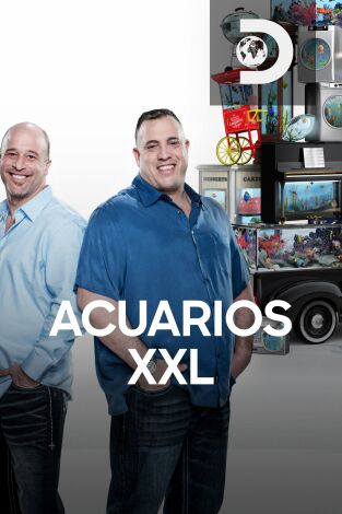 Acuarios XXL. Acuarios XXL 
