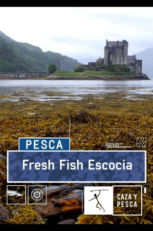 Fresh Fish, Escocia. T(T1). Fresh Fish, Escocia (T1): Truchas a la vista