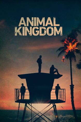 Animal Kingdom. T(T5). Animal Kingdom (T5)