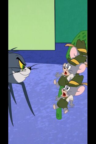 El show de Tom y Jerry. T(T3). El show de Tom y... (T3): La enredada telaraña de Tom